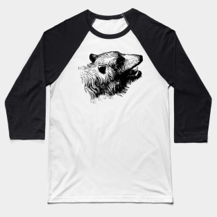 Vintage Bear Sketch Baseball T-Shirt